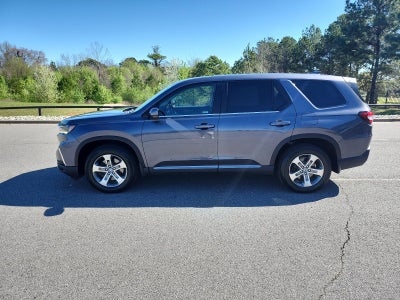 2024 Honda Pilot EX-L 8 Passenger