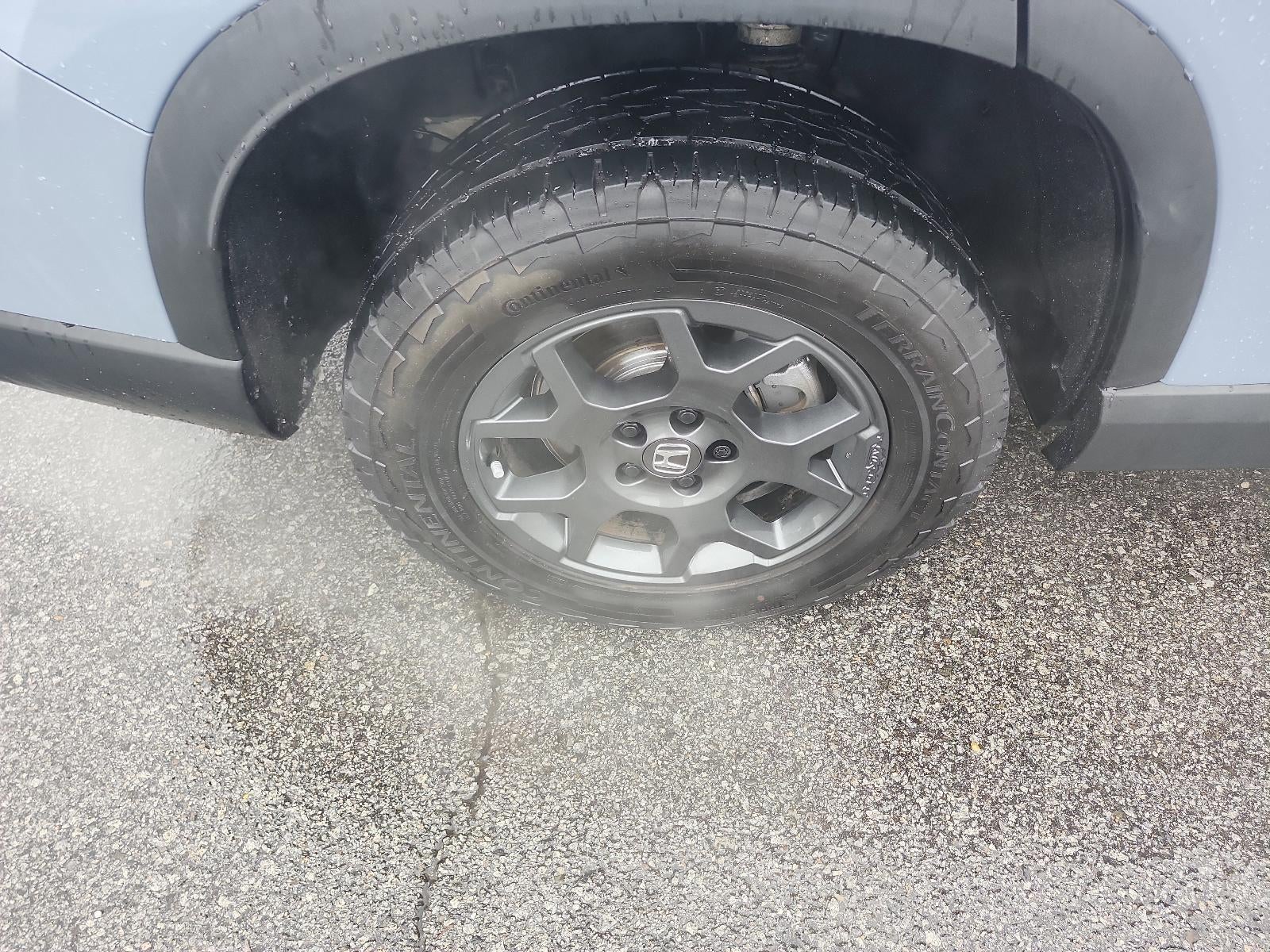 2024 Honda Pilot TrailSport