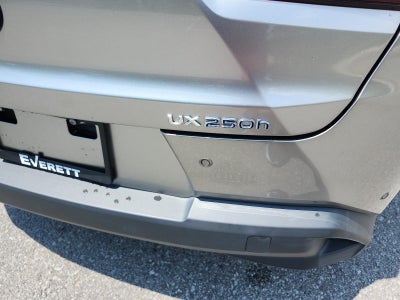 2022 Lexus UX UX 250h