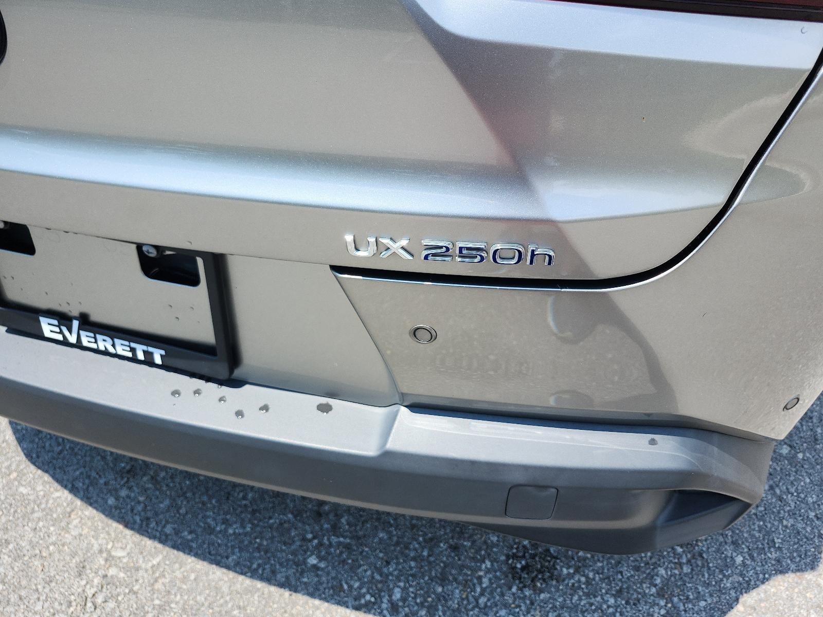 2022 Lexus UX UX 250h