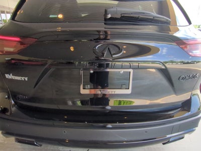 2024 INFINITI QX50 SPORT AWD
