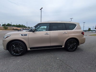 2023 INFINITI QX80 Sensory