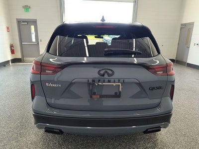 2024 INFINITI QX50 SPORT