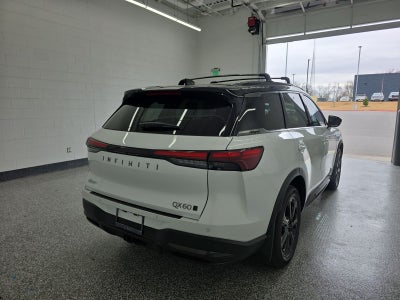 2026 INFINITI QX60 Autograph