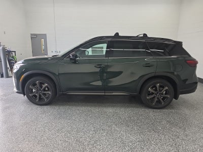 2026 INFINITI QX60 Autograph