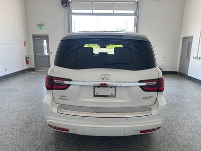 2023 INFINITI QX80 Sensory