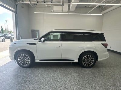 2027 INFINITI QX80 LUXE