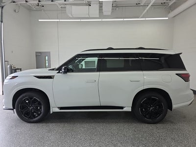 2026 INFINITI QX80 SPORT